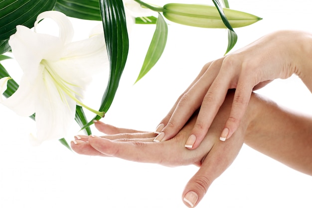 Free photo woman hands and lilly flower