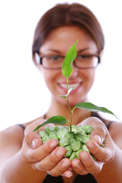 Woman hands taking green plant