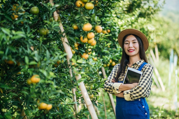 woman havesting Orange plantation