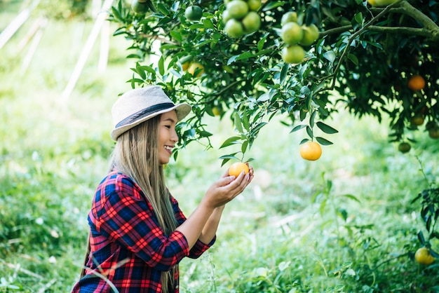 woman havesting Orange plantation