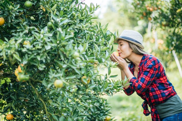 woman havesting Orange plantation