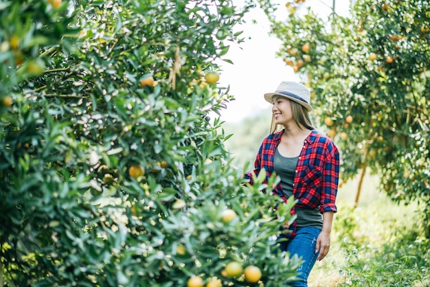 woman havesting Orange plantation