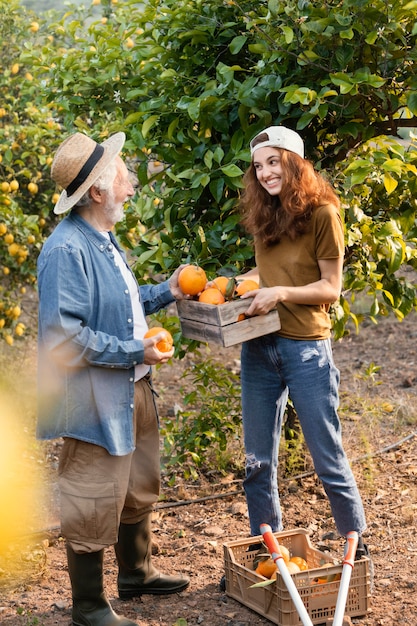 Free photo woman helping her dad get some oranges from the trees in the garden