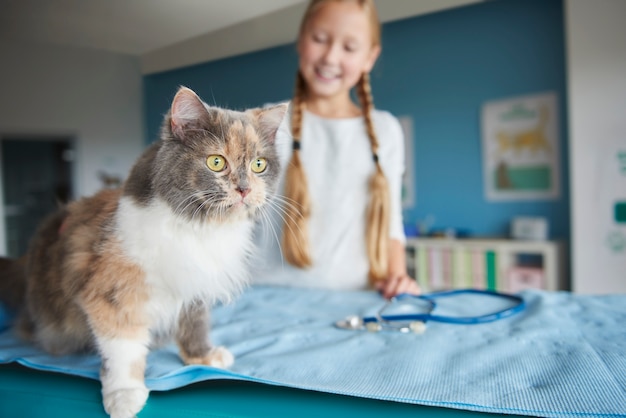 Free Photo woman and her cat at the vet