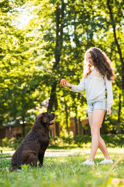 Free Photo woman holding ball near her dog in park