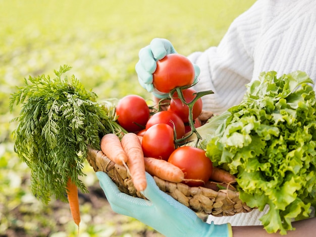 Woman holding a basket full of vegetables close-up