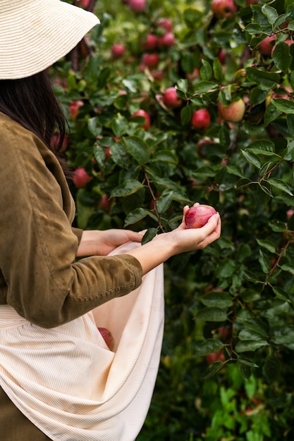 Free photo woman holding fruit high angle