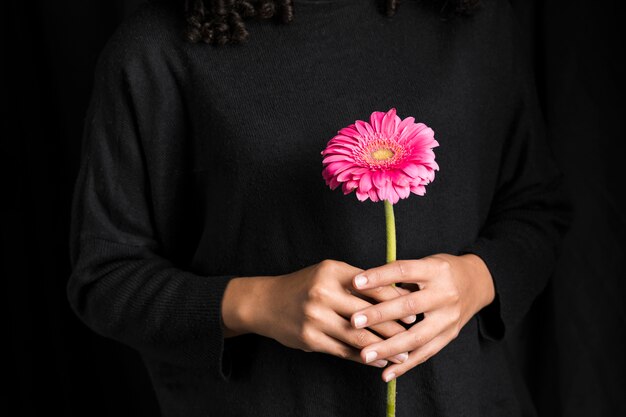 Woman holding gerbera flower in hands