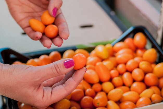 Free photo woman holding heap of kumquat. woman buying fruits and vegetables at local food market. market stall with variety of organic fruits .