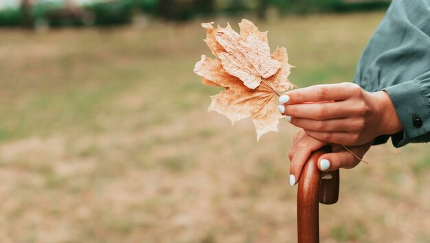 Woman holding leaves and an umbrella with copy space