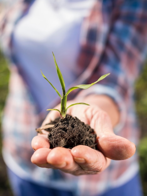 Woman holding a little plant in her hand