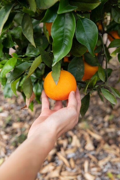 Woman holding an orange in her hand