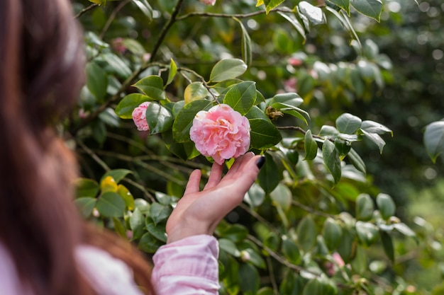 Free Photo woman holding pink flower growing on green twig