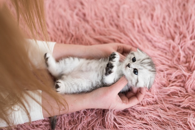 Free photo woman holds funny grey kitten on her arms