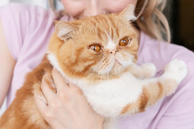 Woman kissing cat on head close up