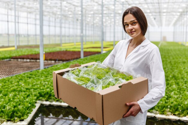 Woman in a laboratory robe holds large box with green salad standing in a greenhouse