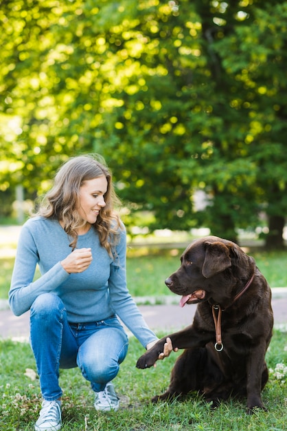 Woman looking at her dog sitting on grass in garden