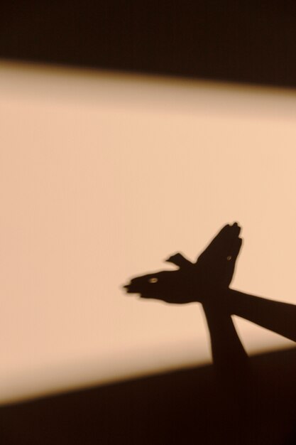 Woman making a bird shadow