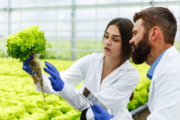 Free photo woman and man in laboratory robes examine carefully plants in the greenhouse