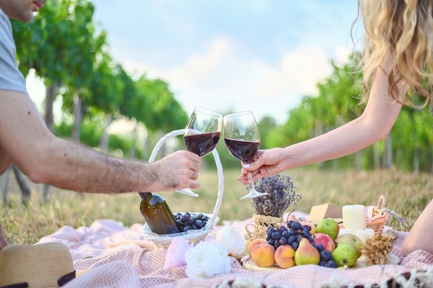 Free Photo woman and man making toasts with wine glasses. picnic outdoors in the vine yards