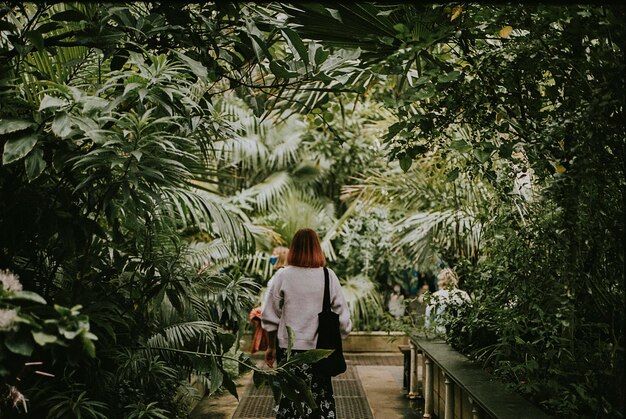 Woman, moody nature photo, aesthetic greenhouse