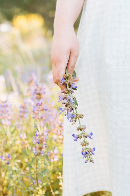 Free Photo woman in nature holding flower