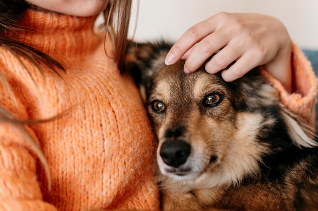 Woman petting adorable dog