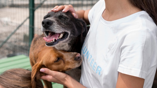 Free Photo woman playing with cure rescue dogs at shelter