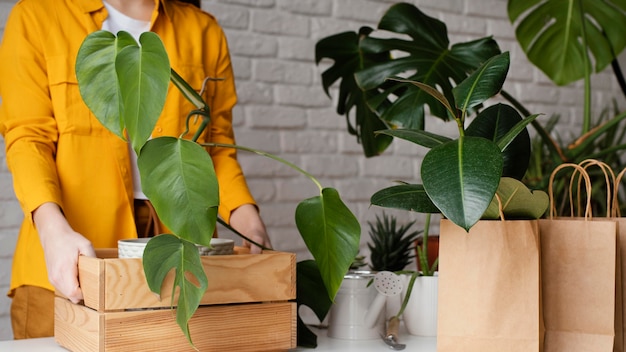 Woman putting a plant in a wooden box