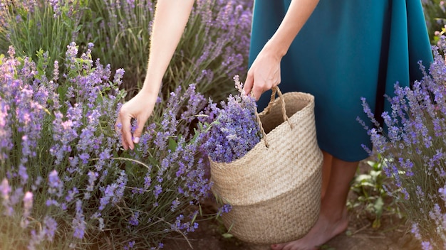 Free photo woman relaxing in flower field