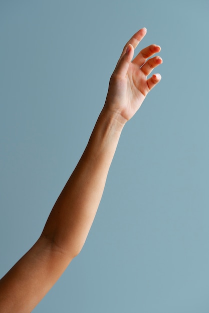 Free Photo woman's arm posing with blue background