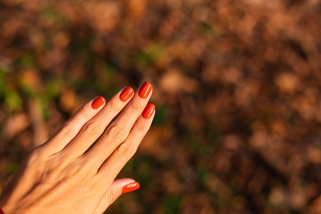 Free Photo woman's hand with orange manicure