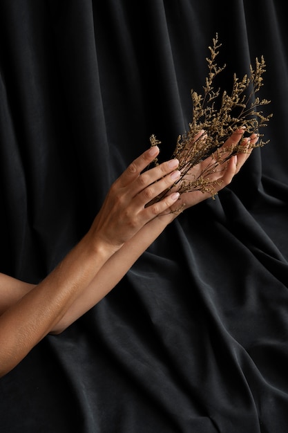 Free photo woman's hands holding plant side view