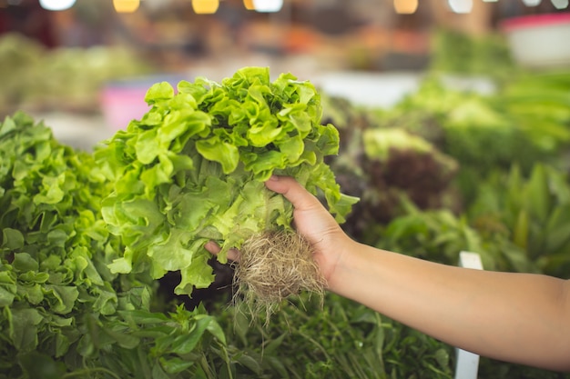 woman shopping organic vegetables 