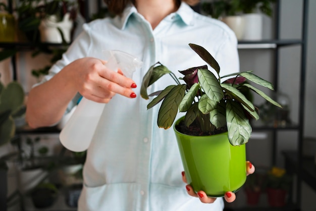 Woman spraying plant leaves close up