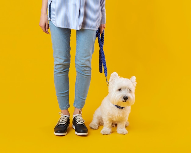 Woman standing next to her adorable dog