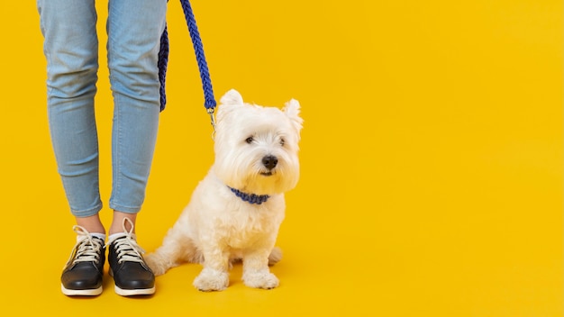 Woman standing next to her adorable dog