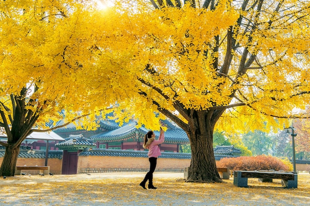 Free photo woman take a photo at autumn in gyeongbokgung