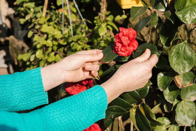 Free Photo woman taking care of her garden