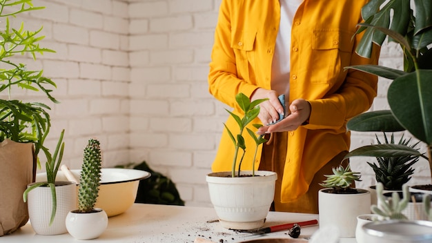 Woman taking care of plant in pot