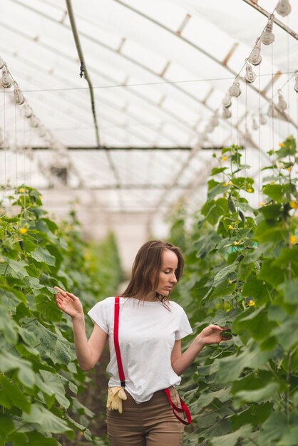 Woman taking care of plants in a greenhouse