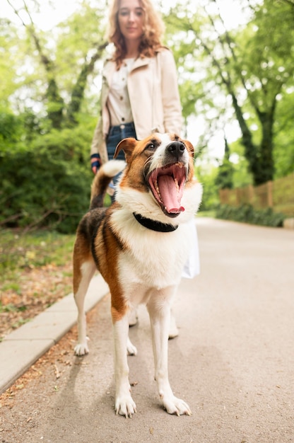 Woman talking her dog for a walk in the park