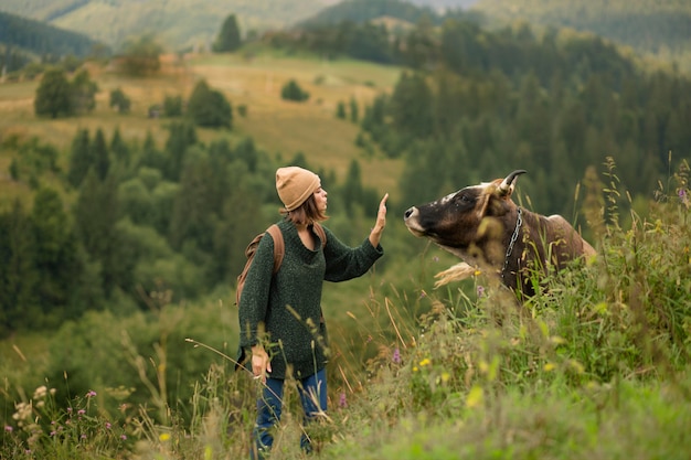 Woman trying to get close to a cow