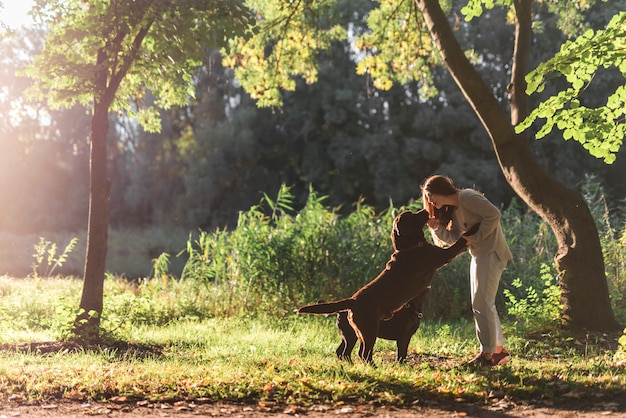 Woman and two dogs playing in park