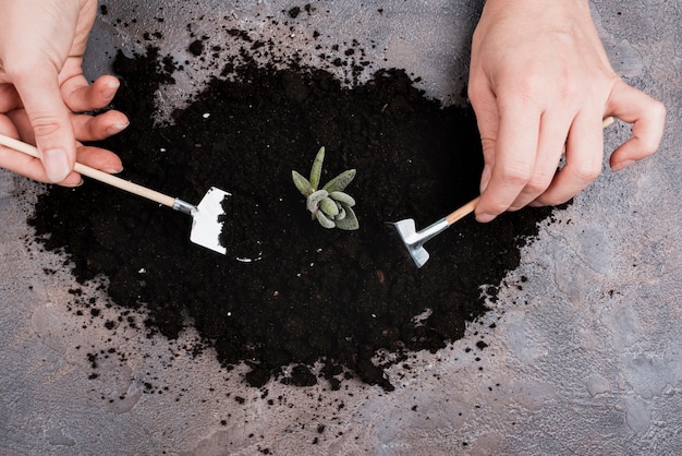 Free photo woman using miniature gardening tools