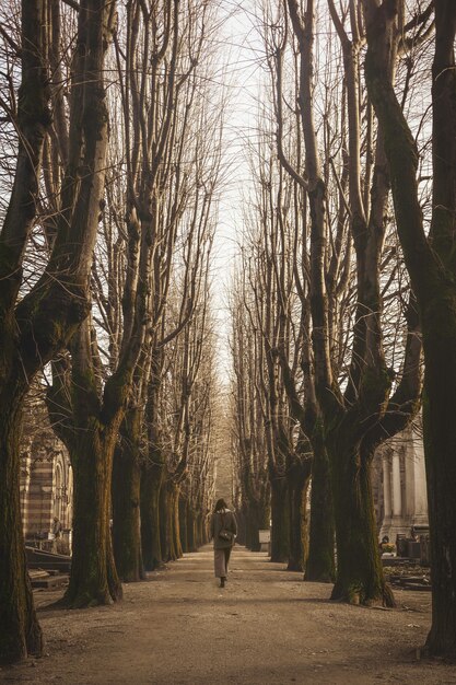 Woman walking near bare trees during daytime