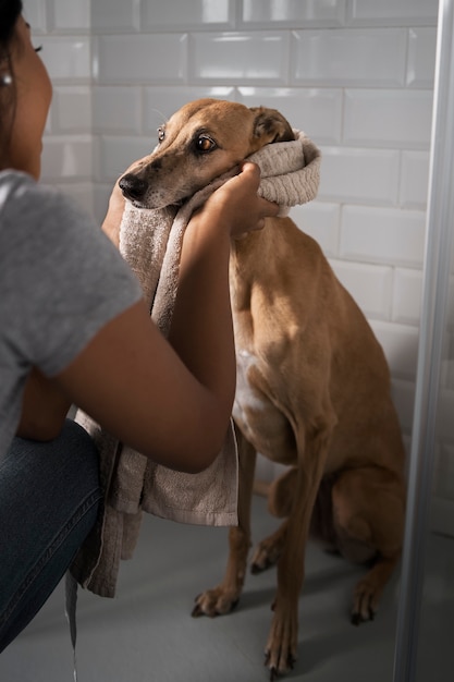 Free Photo woman washing dog side view