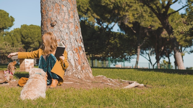 Woman with book petting dog