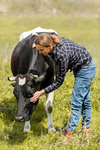 Free Photo woman with a cow at farm