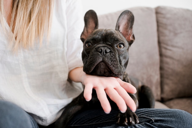 Free Photo woman with cute little french bulldog